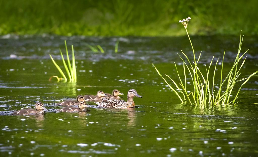 AI-powered habit tracking dashboard showing personalized insights and recommendations
