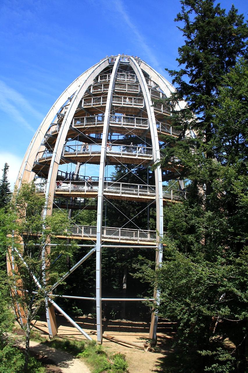 AI interface showing personalized habit suggestions