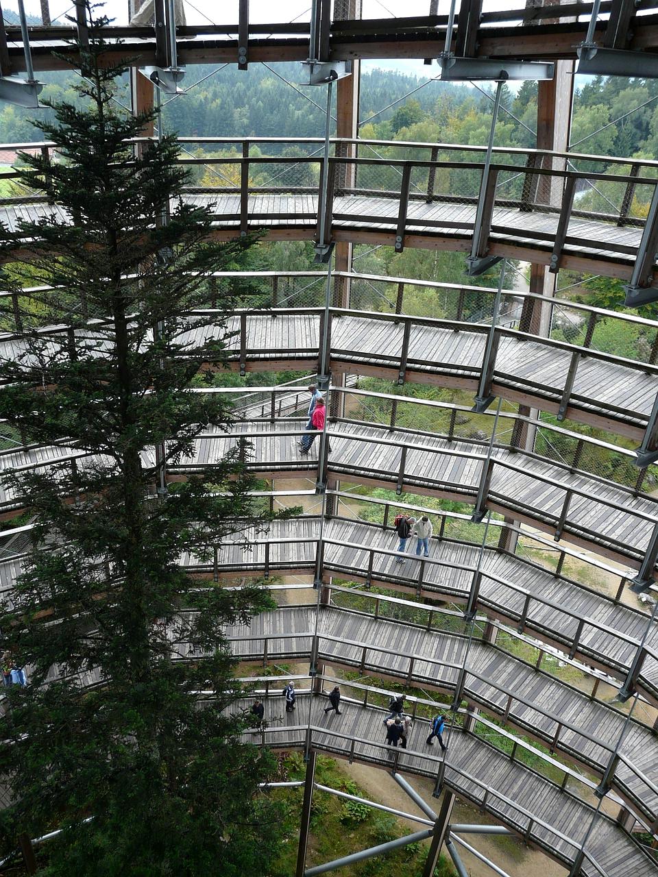 Brain with neural connections lit up symbolizing science-backed methods