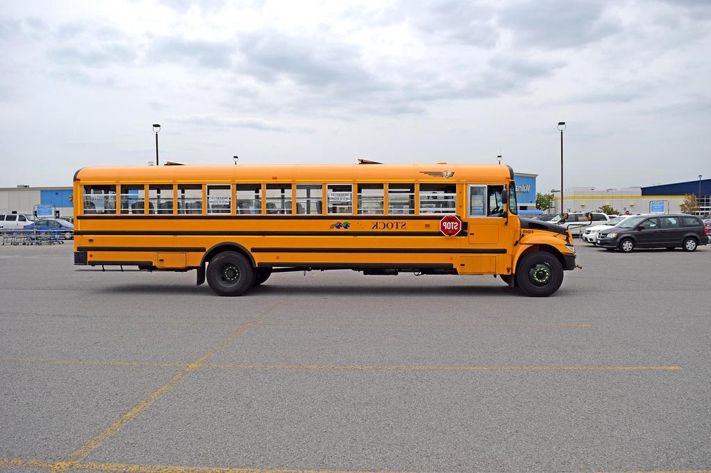 Happy people engaging in healthy lifestyle activities in a European urban park